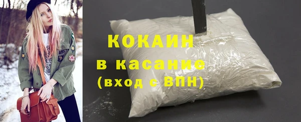 шишки Богданович