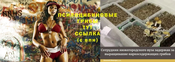 амфетамин Богородск