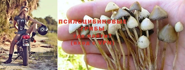 шишки Богданович