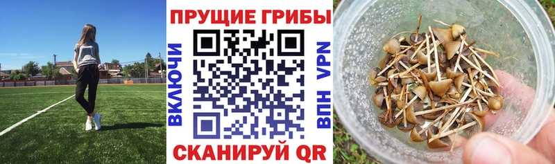 Псилоцибиновые грибы ЛСД  hydra маркетплейс  Обь 