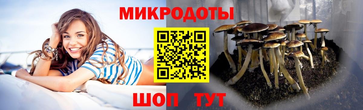 закладки  Вход с VPN  Обь  Псилоцибиновые грибы прущие грибы 